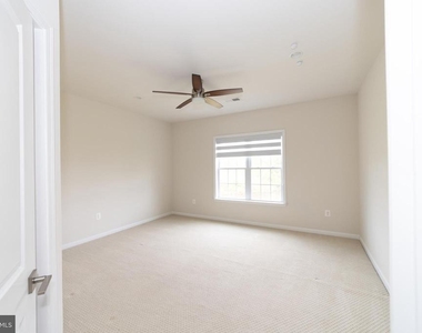 24446 Carolina Rose Circle - Photo Thumbnail 10