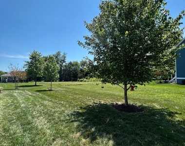 24467 Mint Julep Lane - Photo Thumbnail 5