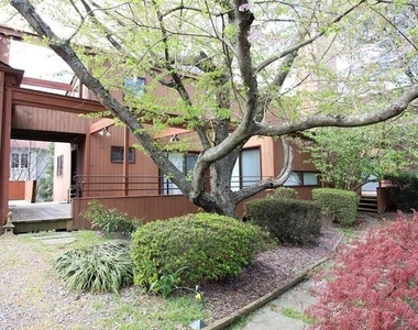 6872 Melrose Drive - Photo Thumbnail 55