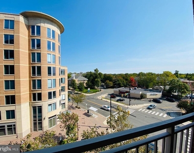 820 N Pollard Street - Photo Thumbnail 5