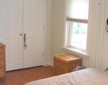 316 Locust Avenue - Photo Thumbnail 14