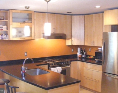 316 Locust Avenue - Photo Thumbnail 9