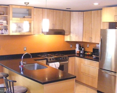 316 Locust Avenue - Photo Thumbnail 8