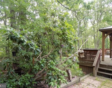 1 Filmore Road - Photo Thumbnail 22