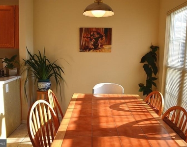 245 Colt Street - Photo Thumbnail 6