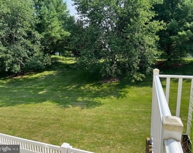 245 Colt Street - Photo Thumbnail 28