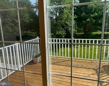 245 Colt Street - Photo Thumbnail 27
