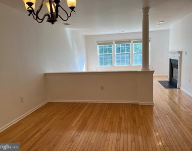 245 Colt Street - Photo Thumbnail 4