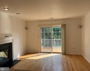 245 Colt Street - Photo Thumbnail 2