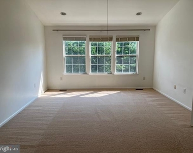 245 Colt Street - Photo Thumbnail 15