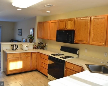 245 Colt Street - Photo Thumbnail 7
