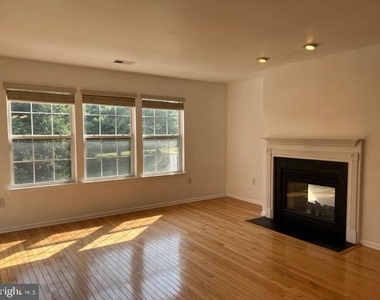 245 Colt Street - Photo Thumbnail 9