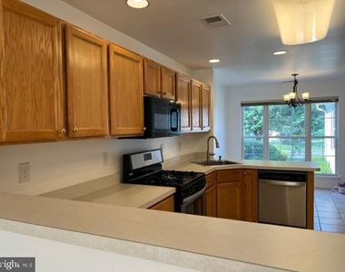 245 Colt Street - Photo Thumbnail 11