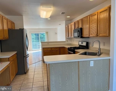 245 Colt Street - Photo Thumbnail 8
