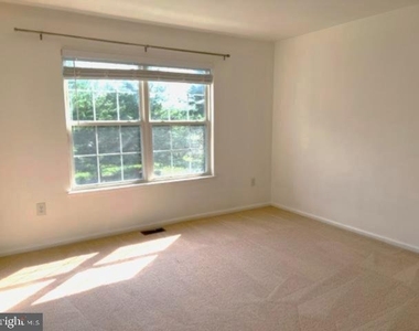 245 Colt Street - Photo Thumbnail 20