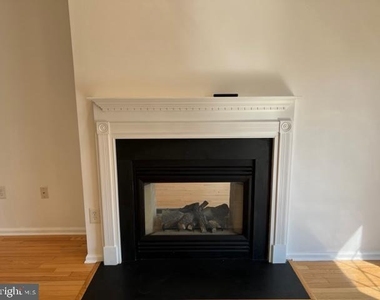 245 Colt Street - Photo Thumbnail 13