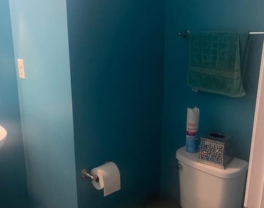 224 Ironwood Manor Drive - Photo Thumbnail 17