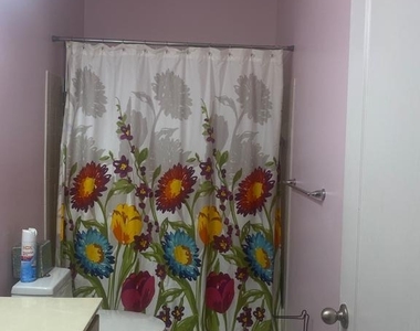 224 Ironwood Manor Drive - Photo Thumbnail 21