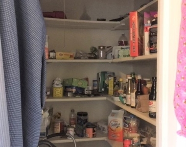 3423 N Paulina Street - Photo Thumbnail 14