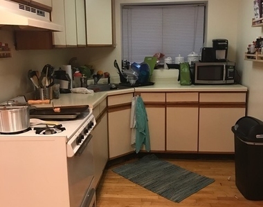 1224 W Melrose Street - Photo Thumbnail 12