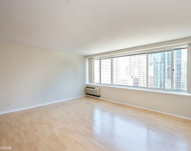 211 E Ohio Street - Photo Thumbnail 5