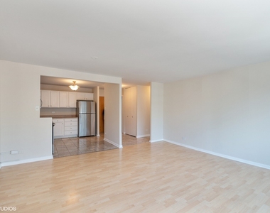 211 E Ohio Street - Photo Thumbnail 3