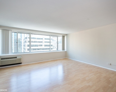211 E Ohio Street - Photo Thumbnail 6