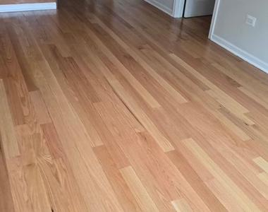 6834 S Dorchester Avenue - Photo Thumbnail 4