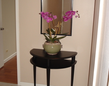 211 E Ohio Street - Photo Thumbnail 1