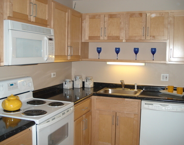 211 E Ohio Street - Photo Thumbnail 2