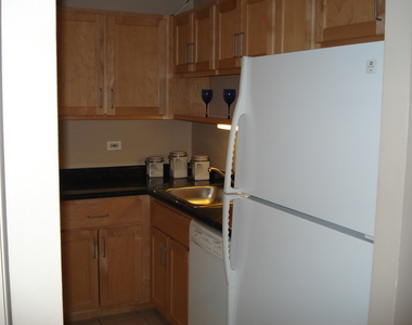 211 E Ohio Street - Photo Thumbnail 4