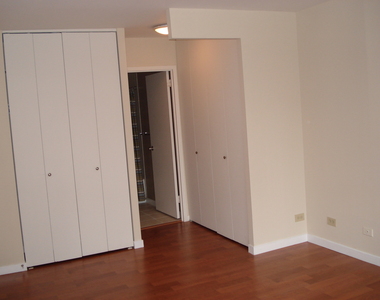 211 E Ohio Street - Photo Thumbnail 6
