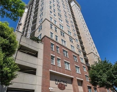 325 East Paces Ferry Road - Photo Thumbnail 57