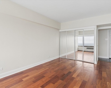 175 E Delaware Place - Photo Thumbnail 13