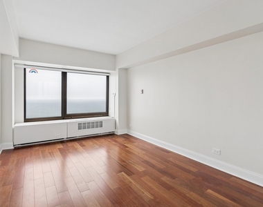 175 E Delaware Place - Photo Thumbnail 15