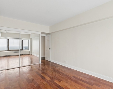 175 E Delaware Place - Photo Thumbnail 9