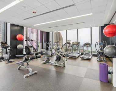 175 E Delaware Place - Photo Thumbnail 23