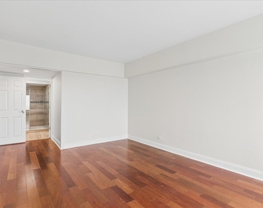 175 E Delaware Place - Photo Thumbnail 18