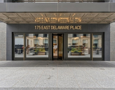 175 E Delaware Place - Photo Thumbnail 21