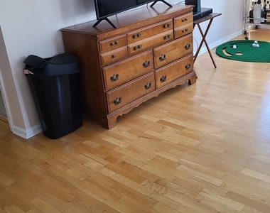 345 N Lasalle Drive - Photo Thumbnail 5