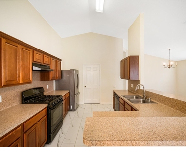 315 Brushy Glen Drive - Photo Thumbnail 25