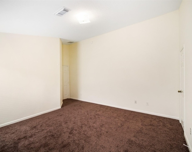 315 Brushy Glen Drive - Photo Thumbnail 11