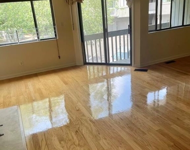 246 Mulberry - Photo Thumbnail 4