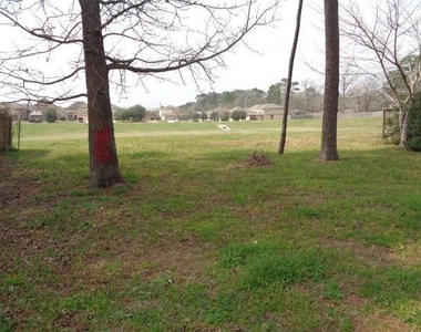 16746 Fallen Timbers Dr - Photo Thumbnail 21