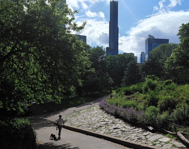 Rockwell Place - Photo Thumbnail 7
