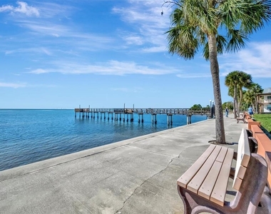 650 Pinellas Point Drive S - Photo Thumbnail 29
