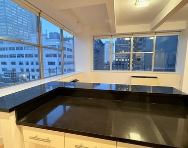 49 Murray Street - Photo Thumbnail 9