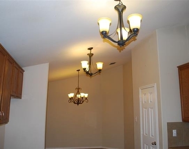 4713 Fox Sedge Lane - Photo Thumbnail 17