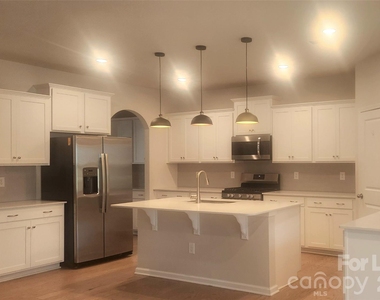 1009 Gabardine Lane - Photo Thumbnail 3