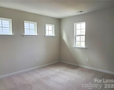 1009 Gabardine Lane - Photo Thumbnail 10